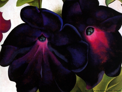 O Keeffe - Black and Purple Petunias
