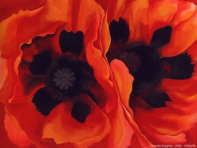 O Keeffe - Oriental Poppies
