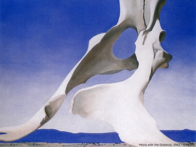 O Keeffe - Pelvis with the Distance
