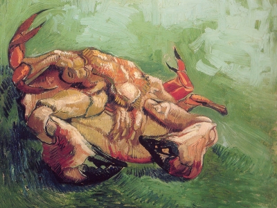 Van Gogh - Crab on its Back
