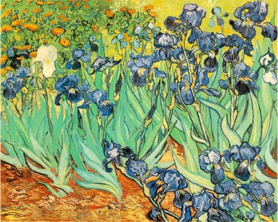 Van Gogh - Irises
