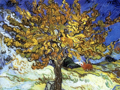 Van Gogh - The Mulberry Tree
