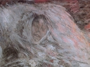 Monet_-_Camille_on_Her_Deathbed.jpg