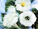 O_Keeffe_-_Jimsonweed.jpg