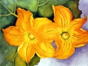 O_Keeffe_-_Squash_Flowers__1_.jpg