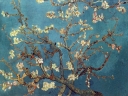 Van_Gogh_-_Almond_Blossom.jpg