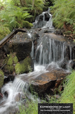 Boot-Eskdale-Corn-Mill-Stream-0002C.jpg