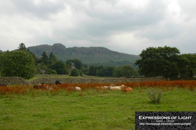 Eskdale-Valley-Gate-Crag-0009C.jpg