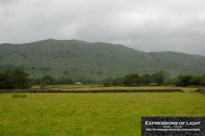 Eskdale-Valley-Hollinghead-Bank-0001C.jpg