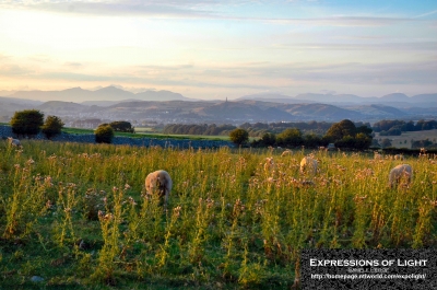 ExpoLight-Birkrigg-Common-_-The-Lakeland-Fells-0001C_28Sample_Proof-Photography29.jpg