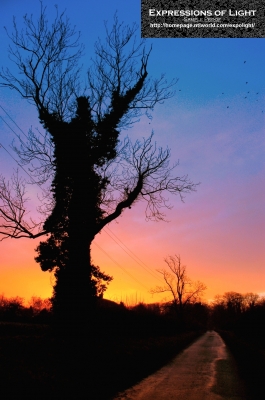 ExpoLight-Branston-Hall-Lane-Sunset-0002C_28Sample_Proof-Photography29.jpg