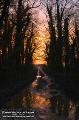 ExpoLight-Branston-Hall-Lane-Sunset-0007C_28Sample_Proof-Photography29.jpg