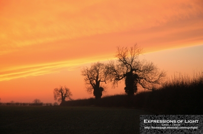 ExpoLight-Branston-Hall-Lane-Sunset-0012C_28Sample_Proof-Photography29.jpg