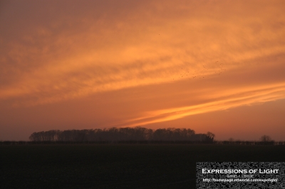 ExpoLight-Branston-Hall-Lane-Sunset-0013C_28Sample_Proof-Photography29.jpg