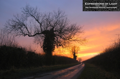 ExpoLight-Branston-Hall-Lane-Sunset-0015C_28Sample_Proof-Photography29.jpg