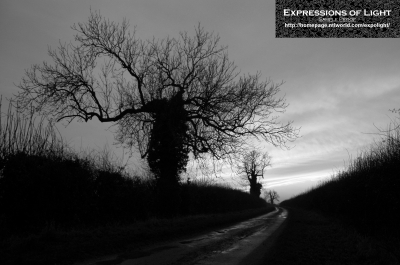 ExpoLight-Branston-Hall-Lane-Sunset-0017M_28Sample_Proof-Photography29.jpg