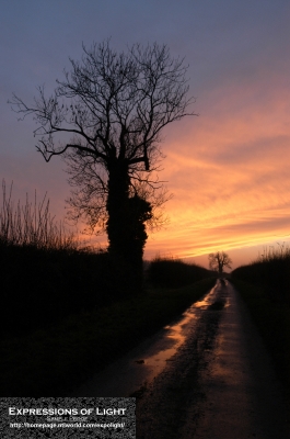 ExpoLight-Branston-Hall-Lane-Sunset-0025C_28Sample_Proof-Photography29.jpg