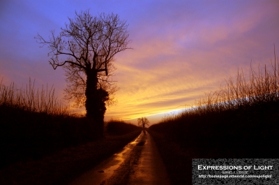 ExpoLight-Branston-Hall-Lane-Sunset-0028C_28Sample_Proof-Photography29.jpg