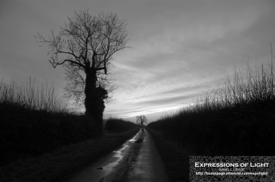 ExpoLight-Branston-Hall-Lane-Sunset-0029M_28Sample_Proof-Photography29.jpg