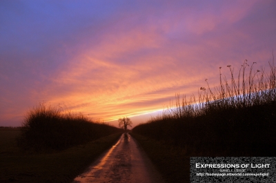 ExpoLight-Branston-Hall-Lane-Sunset-0031C_28Sample_Proof-Photography29.jpg