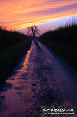 ExpoLight-Branston-Hall-Lane-Sunset-0033C_28Sample_Proof-Photography29.jpg