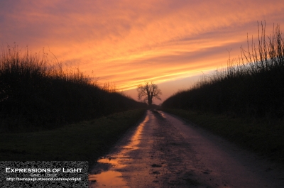 ExpoLight-Branston-Hall-Lane-Sunset-0034C_28Sample_Proof-Photography29.jpg