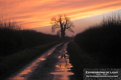 ExpoLight-Branston-Hall-Lane-Sunset-0042C_28Sample_Proof-Photography29.jpg