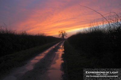 ExpoLight-Branston-Hall-Lane-Sunset-0044C_28Sample_Proof-Photography29.jpg