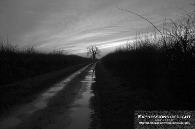 ExpoLight-Branston-Hall-Lane-Sunset-0046M_28Sample_Proof-Photography29.jpg