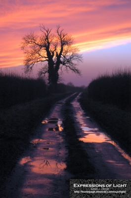 ExpoLight-Branston-Hall-Lane-Sunset-0048C_28Sample_Proof-Photography29.jpg