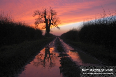 ExpoLight-Branston-Hall-Lane-Sunset-0064C_28Sample_Proof-Photography29.jpg