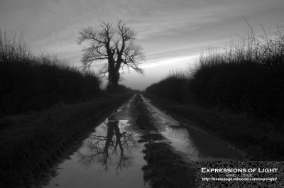 ExpoLight-Branston-Hall-Lane-Sunset-0067M_28Sample_Proof-Photography29.jpg