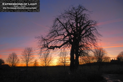 ExpoLight-Branston-Hall-Lane-Sunset-Winter-0003C_28Sample_Proof-Photography29.jpg