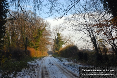 ExpoLight-Branston-Hall-Lane-Winter-0011C_28Sample_Proof-Photography29.jpg