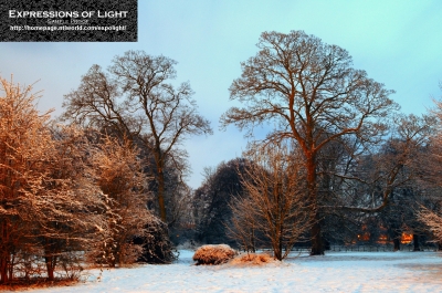 ExpoLight-Branston-Hall-Park-Moonlit-Night-Winter-0005C_28Sample_Proof-Photography29.jpg