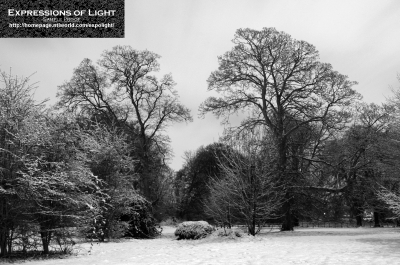 ExpoLight-Branston-Hall-Park-Moonlit-Night-Winter-0006M_28Sample_Proof-Photography29.jpg