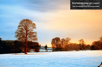 ExpoLight-Branston-Hall-Park-Moonlit-Night-Winter-0009C_28Sample_Proof-Photography29.jpg