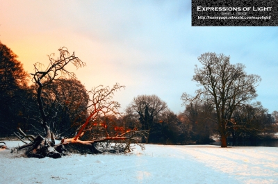 ExpoLight-Branston-Hall-Park-Moonlit-Night-Winter-0011C_28Sample_Proof-Photography29.jpg