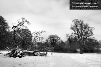 ExpoLight-Branston-Hall-Park-Moonlit-Night-Winter-0012M_28Sample_Proof-Photography29.jpg