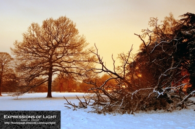 ExpoLight-Branston-Hall-Park-Moonlit-Night-Winter-0017C_28Sample_Proof-Photography29.jpg