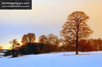 ExpoLight-Branston-Hall-Park-Moonlit-Night-Winter-0019C_28Sample_Proof-Photography29.jpg