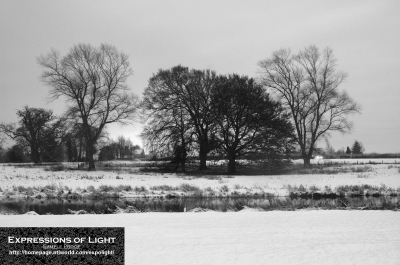 ExpoLight-Branston-Hall-Park-Moonlit-Night-Winter-0022M_28Sample_Proof-Photography29.jpg