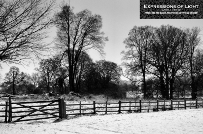 ExpoLight-Branston-Hall-Park-Moonlit-Night-Winter-0052M_28Sample_Proof-Photography29.jpg