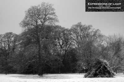 ExpoLight-Branston-Hall-Park-Moonlit-Night-Winter-0054M_28Sample_Proof-Photography29.jpg