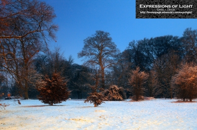 ExpoLight-Branston-Hall-Park-Moonlit-Night-Winter-0057C_28Sample_Proof-Photography29.jpg