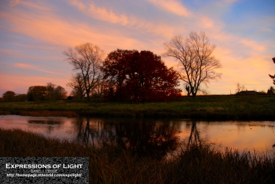 ExpoLight-Branston-Hall-Park-Sunset-Winter-0001C_28Sample_Proof-Photography29.jpg