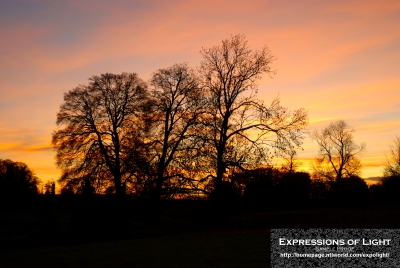 ExpoLight-Branston-Hall-Park-Sunset-Winter-0008C_28Sample_Proof-Photography29.jpg