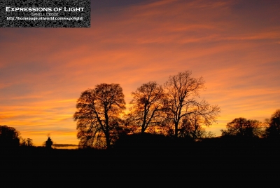 ExpoLight-Branston-Hall-Park-Sunset-Winter-0010C_28Sample_Proof-Photography29.jpg