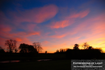 ExpoLight-Branston-Hall-Park-Sunset-Winter-0017C_28Sample_Proof-Photography29.jpg