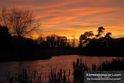 ExpoLight-Branston-Hall-Park-Sunset-Winter-0026C_28Sample_Proof-Photography29.jpg